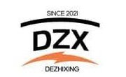 DZX Cover Logo